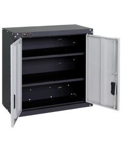 HOMGS00727021 image(0) - 2-Door Wall Cabinet with 2 Shelves, Steel